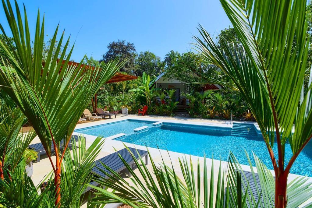 Casa Kristel - Exquisite Villa Getaway Puerto Viejo de Talamanca Eksteriør bilde